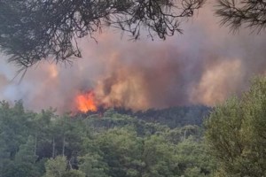 Φωτιά στη Ρόδο: Καυτός αέρας σηκώνει κάφτρες που δημιουργούν νέες εστίες - Έκκληση για βοήθεια στον Προφήτη Ηλία - εικόνα 2