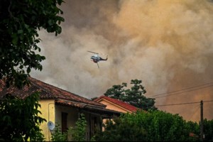 Φωτιά στον Φενεό: Σε αυτό το σημείο ξέσπασε η φωτιά - Έκαναν εργασίες για... rave πάρτι [εικόνες] - εικόνα 5