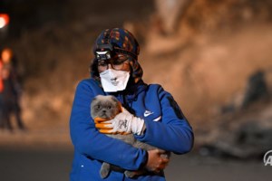 Κώστας Σπυράκος: "Οι θάνατοι στην Τουρκία οφείλονται στην κατασκευή των κτηρίων - Από 1975 δεν έχουν ελεγχθεί" [βίντεο]