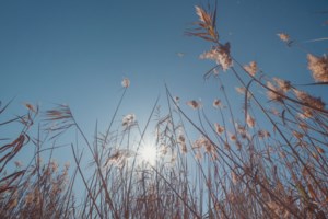 Καλοκαιρία και την Τρίτη με υψηλές για την εποχή θερμοκρασίες