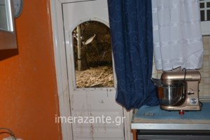 Κυλλήνη: Τηλεφώνημα για βόμβα στο πλοίο για Ζάκυνθο με 117 επιβάτες - εικόνα 2