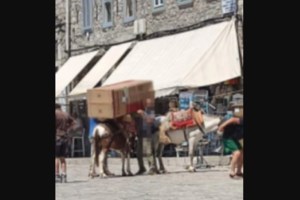 Μέλος της Λεγεώνας των Ξένων τα έκανε "γυαλιά καρφιά" σε μπαρ στην Υδρα