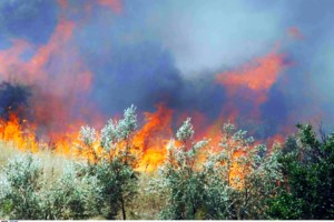 Ολονύχτια μάχη με τις φλόγες σε Χίο και Κω - Εκκενώθηκαν ξενοδοχεία, τραυματίες πυροσβέστες και συλλήψεις [βίντεο] - εικόνα 10