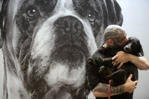 Ζώα συναισθηματικής στήριξης: Σύμμαχοι στην υγεία και την ψυχολογία μας - Πώς μας βοηθούν