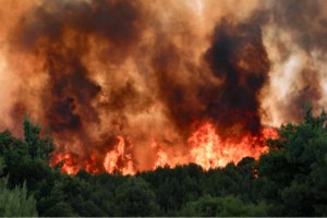 Συναγερμός στην Πυροσβεστική: Πολύ υψηλός κίνδυνος πυρκαγιάς την Κυριακή - Ποιες περιοχές κινδυνεύουν - εικόνα 3