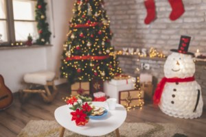 Αλεξανδρινό, το λουλούδι των Χριστουγέννων: Πώς θα το φροντίσετε σωστά για να το κρατήσετε "ζωντανό" - εικόνα 4