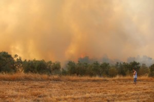 Φωτιά στη Σαλαμίνα: Τρία μέτωπα μέσα σε λίγη ώρα - Εμπρησμό "βλέπει" ο δήμαρχος του νησιού [εικόνες-βίντεο] - εικόνα 3