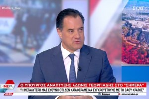 Καρφιά Άδωνι Γεωργιάδη κατά κορυφαίων υπουργών της κυβέρνησης: "Έχουν εξαφανιστεί και δεν βοηθάνε"