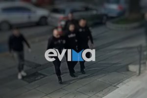 Άγριο έγκλημα στην Εύβοια: "Αυτός τον σκότωσε, το έλεγε" - Κατάθεση-κόλαφος της πρώην συζύγου του 66χρονου - Ο διάλογος 4 μήνες πριν - εικόνα 5