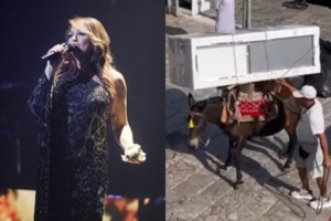 Επιμένει ο δήμαρχος  Υδρας για τα γαϊδουράκια: Γίνεται 200 χρόνια στο νησί - Δεν υπάρχει καμία παραβίαση