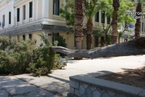 Ναύπλιο: Εκτός ορίων η μάχη για τη δημαρχία - Ο νυν δήμαρχος άφηνε περιττώματα στην πόρτα του αντιπάλου του