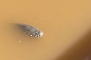 Κακοκαιρία Daniel: Στο Yπουργείο Υποδομών και Μεταφορών ο σχεδιασμός και η ανάθεση κατεπειγόντων μέτρων αποκατάστασης - εικόνα 2