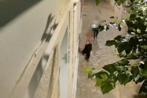 "Δράκος" της Ομόνοιας: Τα στοιχεία που τον έχουν "προδώσει" στην ΕΛΑΣ- Φοράει πάντα τα ίδια ρούχα