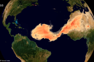 Βραζιλία: Ο Αμαζόνιος καίγεται - Πυρκαγιές απειλούν μέχρι και σπίτια [Εικόνες] - εικόνα 4