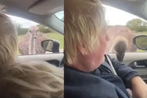 Πατέρας για ακόμη μία φορά ο Μπόρις Τζόνσον: Με τη σύζυγό του Κάρι, υποδέχθηκαν το τέταρτο παιδί τους - εικόνα 2