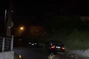 Απίστευτο κι όμως αληθινό: Πόνυ έκανε βόλτα στο κέντρο της Αθήνας με τη συνοδό του [βίντεο] - εικόνα 3