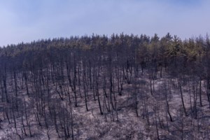 Συγκλονισμένη η Σοφία Παπαΐωάννου: Αυτό που είδα στον Έβρο, δεν το έχω ξαναδεί στη ζωή μου