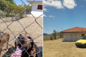 Παρέμβαση εισαγγελέα για το Δημοτικό Κυνοκομείο Τρίπολης, μετά τις καταγγελίες της Εριέττας Κούρκουλου-Λάτση