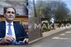 Νίκαια: Εκλάπη το άγαλμα "Η Γυναίκα του Λαού" από την πλατεία Παιδικής Στέγης - εικόνα 2