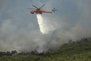 Συνελήφθη Ελληνας για τέσσερις εμπρησμούς σε Μεσολόγγι και Αιτωλικό
