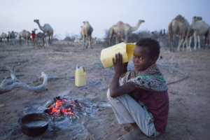 Αύξηση 307% στις online πωλήσεις των σούπερ μάρκετ - εικόνα 2