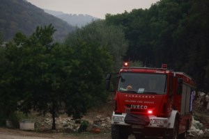 Φωτιά στη Λαμία: Άμεση η επέμβαση της Πυροσβεστικής - εικόνα 2