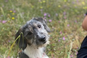 Η ζωή με τον Σέλντον  θα είναι κάπως έτσι... Θα του ψιθυρίζεις ότι τον αγαπάς και θα σε κοιτά βαθιά στα μάτια