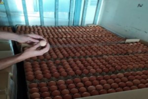 ΣΔΟΕ: Θα γέμιζαν τα μαγαζιά με ποτά "μπόμπες" - Εντοπίστηκε παράνομο εργαστήριο με 1.360 φιάλες - εικόνα 2