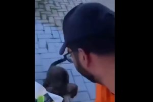 Κακοποίηση γάτας στη Θάσο: "Καμία σχέση με την Πολιτική Προστασία το άτομο που εμφανίζεται σε βίντεο"