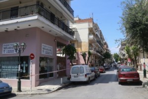 Στη φυλακή οδηγήθηκαν τα δύο αδέλφια για τον θανάσιμο ξυλοδαρμό του 52χρονου ιδιοκτήτη γραφείου τελετών...επειδή τάιζε τις γάτες - εικόνα 2