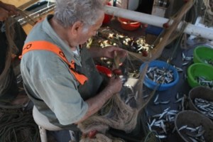 Το Ζαγόρι μπήκε στον Κατάλογο Παγκόσμιας Κληρονομιάς της UNESCO