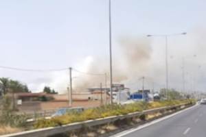 Στα καμένα της Ηλείας η Κατερίνα Σακελλαροπούλου: "Χρέος της Πολιτείας να σταθεί αρωγός στην αποκατάσταση των ζημιών"  [Εικόνες] - εικόνα 3