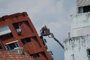 Ζάμπια: Νεκρή 80χρονη Αμερικανίδα τουρίστρια μετά από επίθεση ελέφαντα - Βίντεο ντοκουμέντο