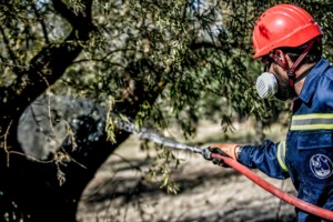 Φωτιά στην Αχαΐα: Μήνυμα 112 για εκκένωση πέντε οικισμών - Ενισχύθηκαν οι δυνάμεις
