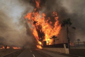 Δημοσιεύθηκε η ΚΥΑ για τις αποζημιώσεις των πυροπλήκτων - Τι προβλέπει