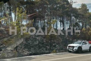 Φωτιά στη Ρόδο: Δύο πυροσβέστες τραυματίστηκαν και μεταφέρθηκαν στο νοσοκομείο - εικόνα 2