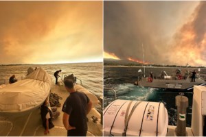 Φωτιά στην Αλεξανδρούπολη: Βίντεο που κόβει την ανάσα-Λεωφορείο με πυροσβέστες περνά μέσα από τις φλόγες- "Ερχόμαστε..." - εικόνα 2