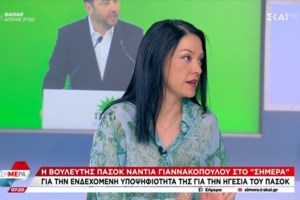 ΠΑΣΟΚ: Μάχη Ανδρουλάκη-Δούκα για την αρχηγία δείχνει νέα δημοσκόπηση- Δεν έχουν μετρήσει τη Διαμαντοπούλου όμως - εικόνα 3