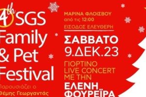 Σώστε ένα αδεσποτάκι: Η Χάιντι, από την Ηπειρο - Ζούσε στον δρόμο άπλωνε τα πατούσια της και παρακαλούσε για χάδια - εικόνα 7