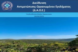 Πάνω από 38 κιλά κοκαΐνης σε εμπορευματοκιβώτιο με μπανάνες, στο λιμάνι του Πειραιά