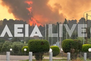 Φωτιά στην Ηλεία: Νύχτα κόλασης στην Πηνεία - Τεράστιο το μέτωπο, καίγονται σπίτια - Καταγγελία για "χτύπημα εμπρηστή" - εικόνα 7