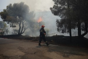 Μεσσηνία: Η απίστευτη ομολογία εμπρηστή - Βάζει φωτιές γιατί τον εξιτάρει να βλέπει τα εναέρια μέσα να κάνουν ρίψεις - εικόνα 3