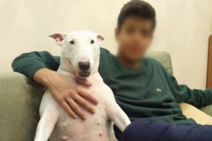 Συγκλονιστικό βίντεο με θανατηφόρο τροχαίο στην Κρήτη: Η στιγμή που το αυτοκίνητο πέφτει σε χαράδρα