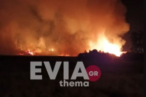 Εύβοια: Ανεξέλεγκτη η πυρκαγιά στα Ψαχνά - Καίγεται ο υδροβιότοπος Κολοβρέχτη [βίντεο]