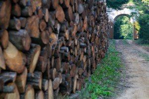 ΑΑΔΕ: Τα νέα "όπλα" για την αντιμετώπιση της φοροδιαφυγής - "Σάρκα μία" ταμειακές μηχανές και POS