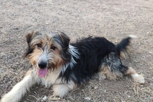 Από τις στάχτες, στη ζωή που αξίζει - Δεν θυμάται πια τον πόνο - Θυμάται μόνο την αγάπη που βρήκε - Το θαύμα της επούλωσης