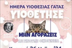 Το παρελθόν του Σίλα είναι σκοτεινό: Μόλις 4 μηνών έσερνε τα δύο πίσω πόδια και προσπαθούσε να διασχίσει τον δρόμο