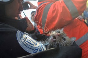 Ζελένσκι: Ο Πούτιν σκότωσε και μια έγκυο - Δώστε μας περισσότερα αντιαεροπορικά