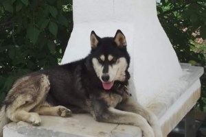 Ο Ολιβερ ένα χρόνο μετά περιμένει δικαίωση - Νατάσα Μπομπολάκη: Τα μάτια του δακρύζουν ακόμη - εικόνα 2