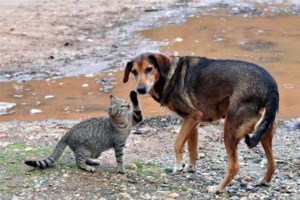 Απίστευτο περιστατικό σε σχολείο του Αγρινίου: 25χρονη εισέβαλε σε τάξη και χτύπησε με καρέκλα μαθήτρια - εικόνα 2